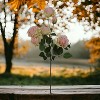 Floral Home 27" Pink Green Rose Spray - 12-Piece - 4 of 4