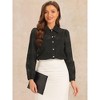 INSPIRE CHIC Women's Lace Puff Long Sleeve Casual Elegant Button Down Collar Shirt - 2 of 4