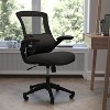 Flash Furniture Rey Lumbar Support Pillow, Office Chair and Car Seat Cushion with Adjustable Straps and CertiPUR-US Certified Memory Foam, Black - 2 of 4