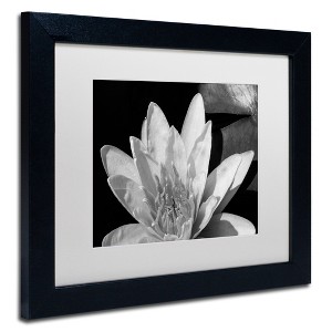 Trademark Fine Art -Kurt Shaffer 'Water Lily in Black and White' Matted Framed Art - 1 of 4