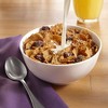 Raisin Bran Breakfast Cereal - 16.6oz - Kellogg's - image 3 of 4
