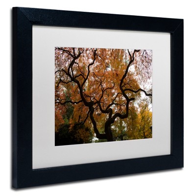 Trademark Fine Art -Kurt Shaffer 'Brilliant Japanese Maple Abstract' Matted Framed Art