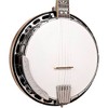 Gold Tone OB-250 Lightweight Orange Blossom Banjo Vintage Brown - 3 of 4