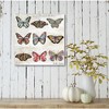 Butterfly Love Pattern Gallery-Wrapped Canvas - 2 of 3