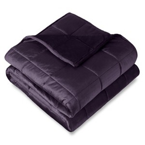 40"x60" 7-10lbs Weighted Blanket for Kids by Bare Home - 1 of 4