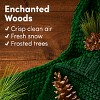 Downy Cozy Enchanted Woods Beads - 7.8oz - 4 of 4