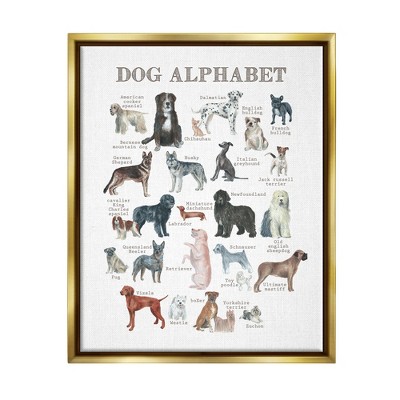 Stupell Industries Dog Alphabet Animal ABC's Framed Canvas