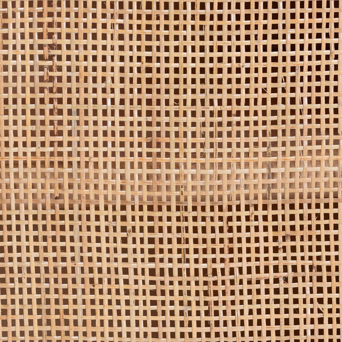 bali & pari Carabella Natural Rattan 2 Door Storage Cabinet Natural: Fixed Shelves, No Assembly Required - thumbnail 9