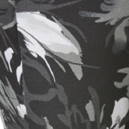 black splash floral