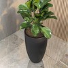 LeisureMod Crete Fiberstone Tapered Round Planter Pot with Drainage Holes for Indoor/Outdoor Use - 2 of 4