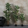 Boersma Faux Rubber Tree – Lifelike ficus plant in pot, adds tropical charm to any room. No watering needed, perfect for home or office decor. - 4 of 4