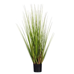 Green/Burgundy Flax Grass Potted - 1 of 4