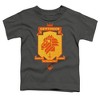 Toddler Boys' Harry Potter Gryffindor Courage And Bravery T-Shirt - 2 of 4