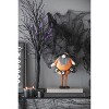 Gulches Decor: Lanterns, Ornaments, Pumpkins, Gnomes & Banners for Festive Indoor/Outdoor Decor - 2 of 4