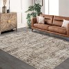 Vintage Washable Rugs Living Room,Short Pile Area Carpet for Outdoor - 3 of 4