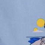 blue island, button down