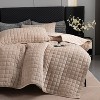 Hachikiko Soft Plush Luxurious Velvet Quilt Set with Pillow Shams, Modern Quilted Bedding for Bedroom & Guest Room Decor - 4 of 4