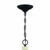 Craftmade Lighting Meadow Place 6 - Light Chandelier in  Cottage White/Espresso - 4 of 4