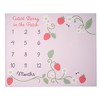 Lambs & Ivy Strawberry Patch Milestone Photo Opportunity Fleece Baby Blanket - 4 of 4