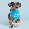 BARK Cooling Dog Bandana - 3 of 4