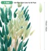 Unique Bargains Artificial Bunny Tails Dried Home Decor Realistic Pampas Grass 17 Inch 120 Pcs - 3 of 4