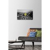 Trends International Joseph S Giacalone - A Bit Of Yellow Unframed Wall Poster Prints - 2 of 4