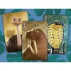 Similo: Wild Animals - Cooperative Deduction Card Game 7+ - 3 of 4