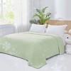 Shabby Chic Style Ultra Soft & Cooling Comforter, Lightweight & Cozy Anti-Clumping Designed Bed Blanket, OEKO-TEX Certified Bed Set for Hot Summer - 3 of 4