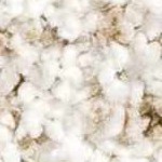 beige, taupe, medium gray, dark brown, medium brown