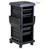 PureSana Chromium Professional 4 Drawer Rolling Salon Trolley Cart Station with Nail Polish Rack for Hair & Cosmetology Supplies & Beauty Tools, Black - 2 of 4