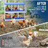Chicken Nesting Boxes Galvanized Steel Rustproof Egg Laying Box with Egg Collection Systems, Hen Eggs Laying Box, for Chicken House/Duck House/Hen - 4 of 4