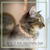 Country Brook Petz Cat Collar - Tasty Collection - 2 of 4