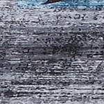 blue/gray