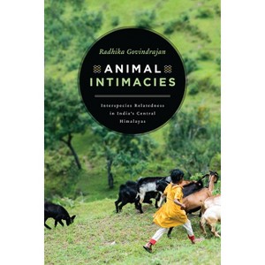 Animal Intimacies - (Animal Lives) by  Radhika Govindrajan (Paperback) - 1 of 1