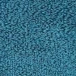 light brown/dark cyan