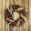 Northlight Autumn Harvest Mixed Heather Artificial Grapevine Wreath, 22 Inch Unlit - image 3 of 4