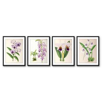 Americanflat 4 Piece 11x14 Wrapped Canvas Set - Fitch Orchid by New York Botanical Garden - botanical  Wall Art