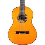 Cordoba C9 Parlor Nylon String Acoustic Guitar