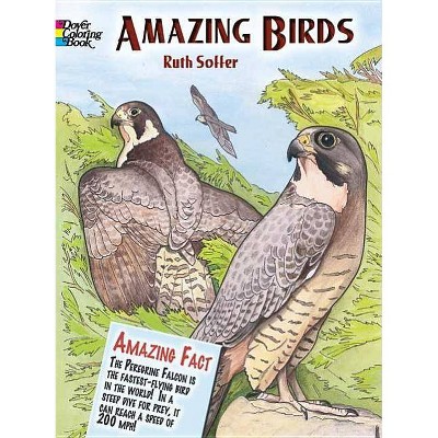 Amazing Birds Coloring Book - (Dover Nature Coloring Book) by  Soffer (Paperback)