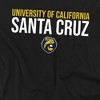 Men's University of California Santa Cruz Official Stacked T-Shirt Stacked - 2 of 4