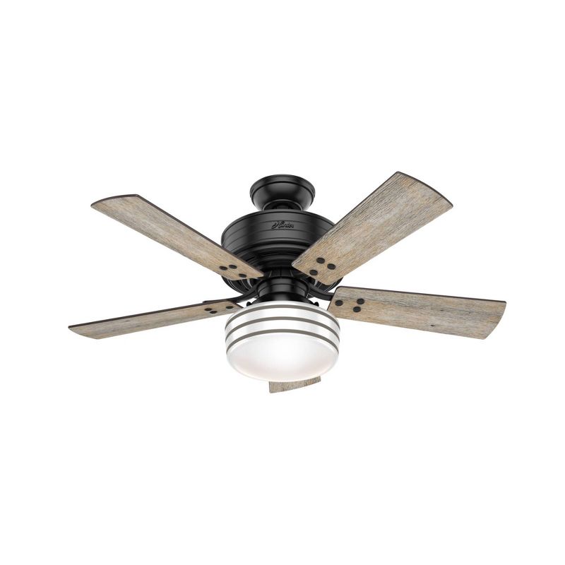 44&#34; Cedar Key Damp Rated Ceiling Fan with Remote Black (Includes LED Light Bulb) - Hunter Fan, 1 of 16