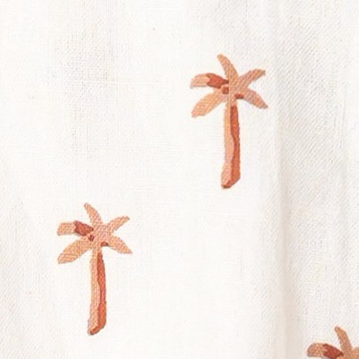 palm