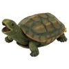 Design Toscano Sprinkle The Turtle Piped Spitter Statue : Target