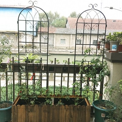 Tall Metal Garden Arch Trellis, Plant Support for Climbing Roses, Cucumbers and Flowers – The Pop Home