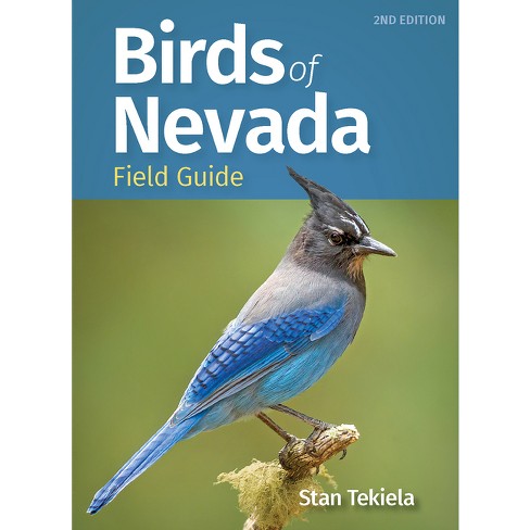 Jay, Bird Identification Guide