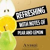 Andre Brut Champagne Sparkling Wine - 750ml Bottle - 3 of 4