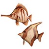 Gallerie II Tortoiseshell Fish Christmas Xmas Ornament Set of 3 - 2 of 3