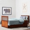 Infans Twin Captain's Bed Bunk Bed Alternative w/ Trundle & Drawers for Kids Walnut - 3 of 4