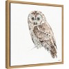 Amanti Art Forest Friends IX by Lisa Audit Canvas Wall Art Print Framed 16-in. x 16-in. - 3 of 4