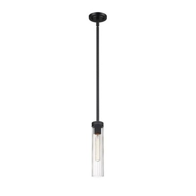 Matte Black Steel and Glass 12.75" Indoor/Outdoor Pendant Light